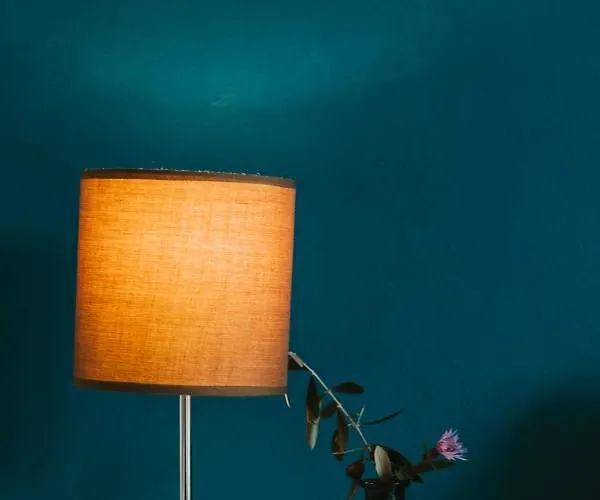 Alojamento de Acomodação e Pequeno-almoço Vagabondo