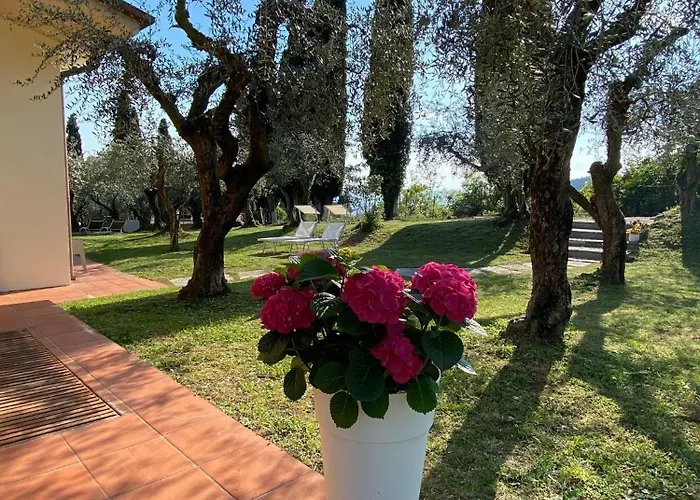 Vagabondo 4*