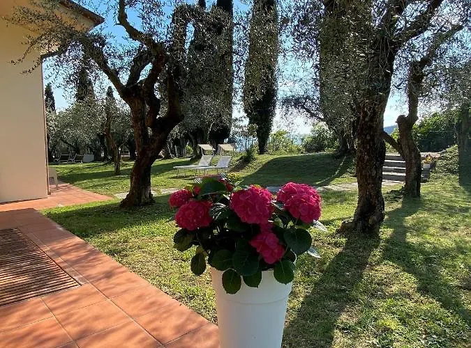 Vagabondo Bed and breakfast