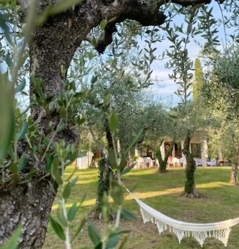 Bed and breakfast Vagabondo