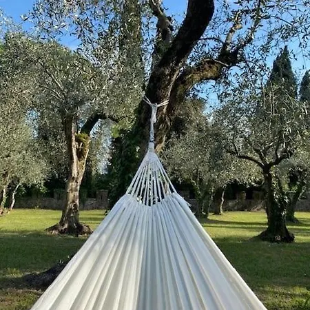 Vagabondo