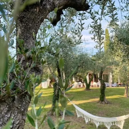 Bed & Breakfast Vagabondo