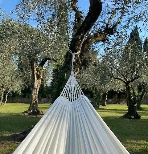 Vagabondo