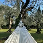 Vagabondo