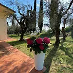 Vagabondo Bed & Breakfast