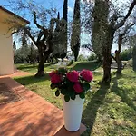Vagabondo 4*