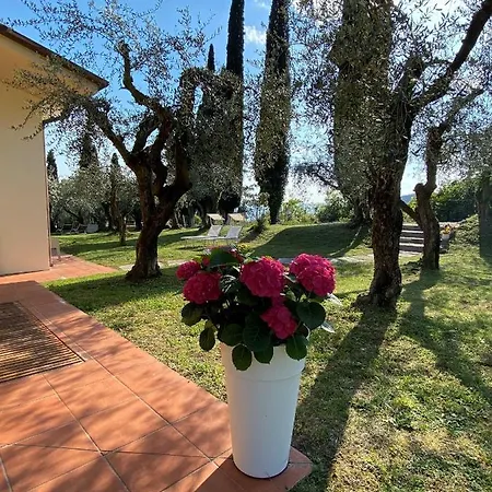Vagabondo Bed & Breakfast