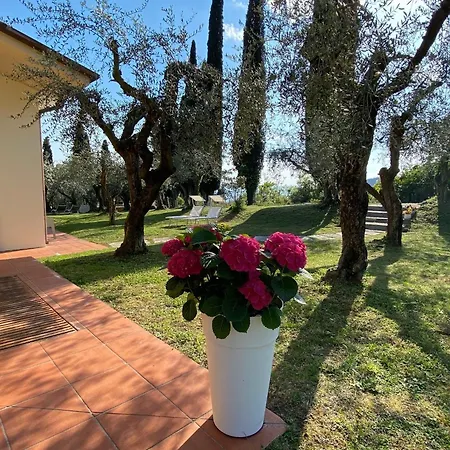 Vagabondo 4*